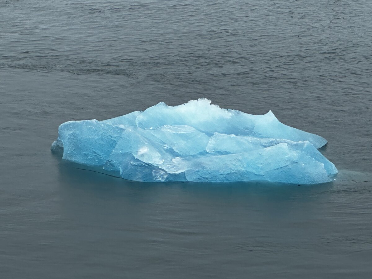 Brilliant blue glacial ice floating on dark water